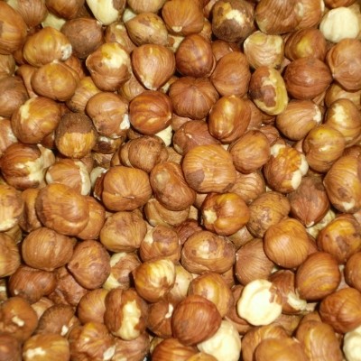 Hazelnoten bruin Hazelnoten bruin