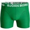 Afbeelding van BJORN BORG 2 pack FLOWERSOME 1821-1006 50191