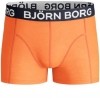 Afbeelding van BJORN BORG boys 2p SHORTS zig zag 1821-1201 90651