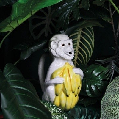 Foto van Monkey Jug